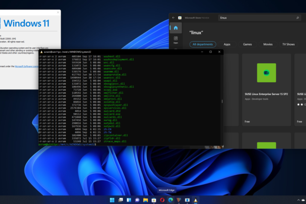 Exploring Windows Subsystem for Linux on Windows 11