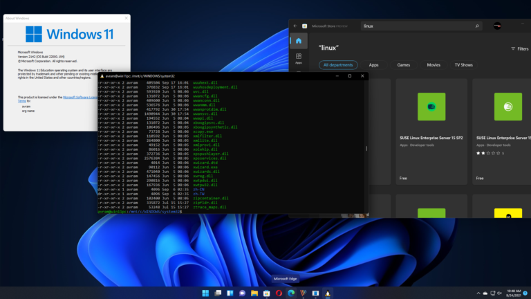 Exploring Windows Subsystem for Linux on Windows 11