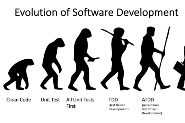 The Evolution of Software